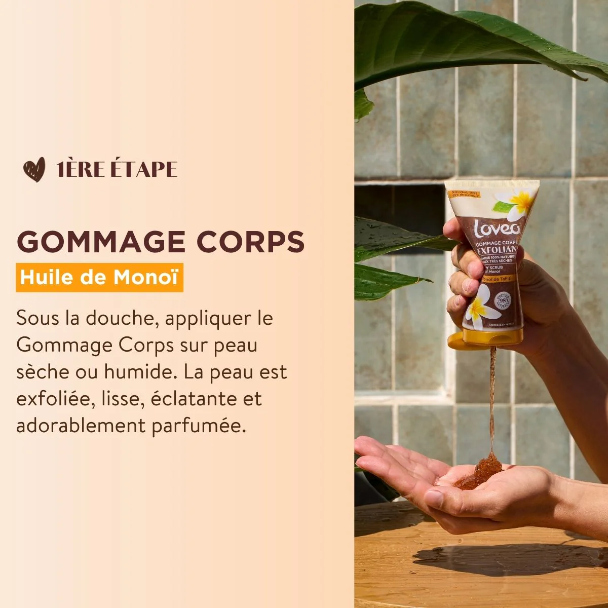 Miniature 3